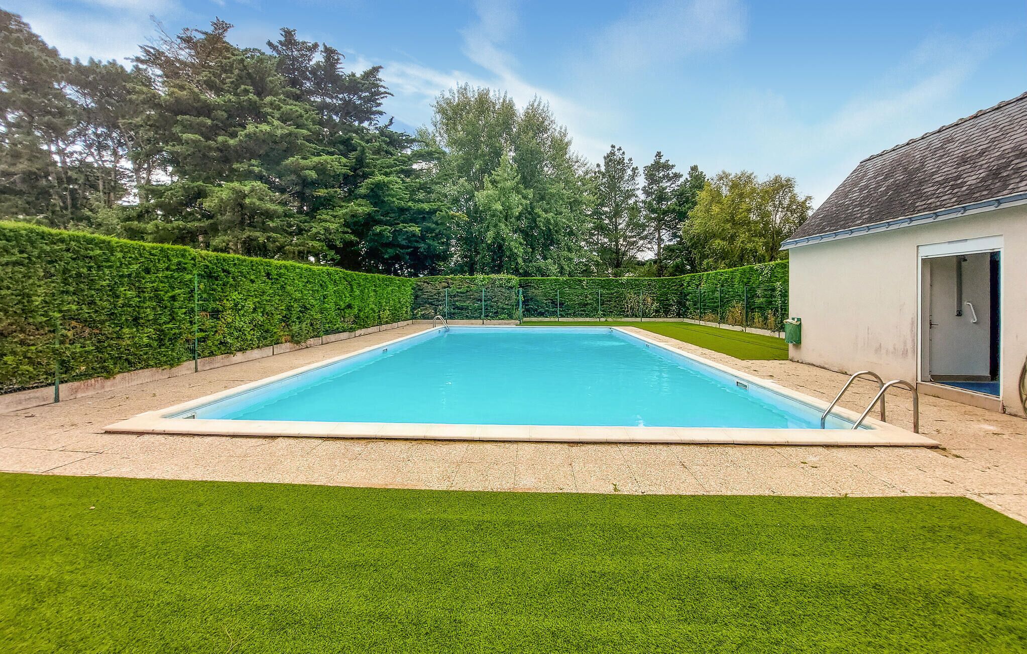 Une piscine rectangulaire entourée d’une terrasse, un petit bâtiment doté d’une porte et une haie.