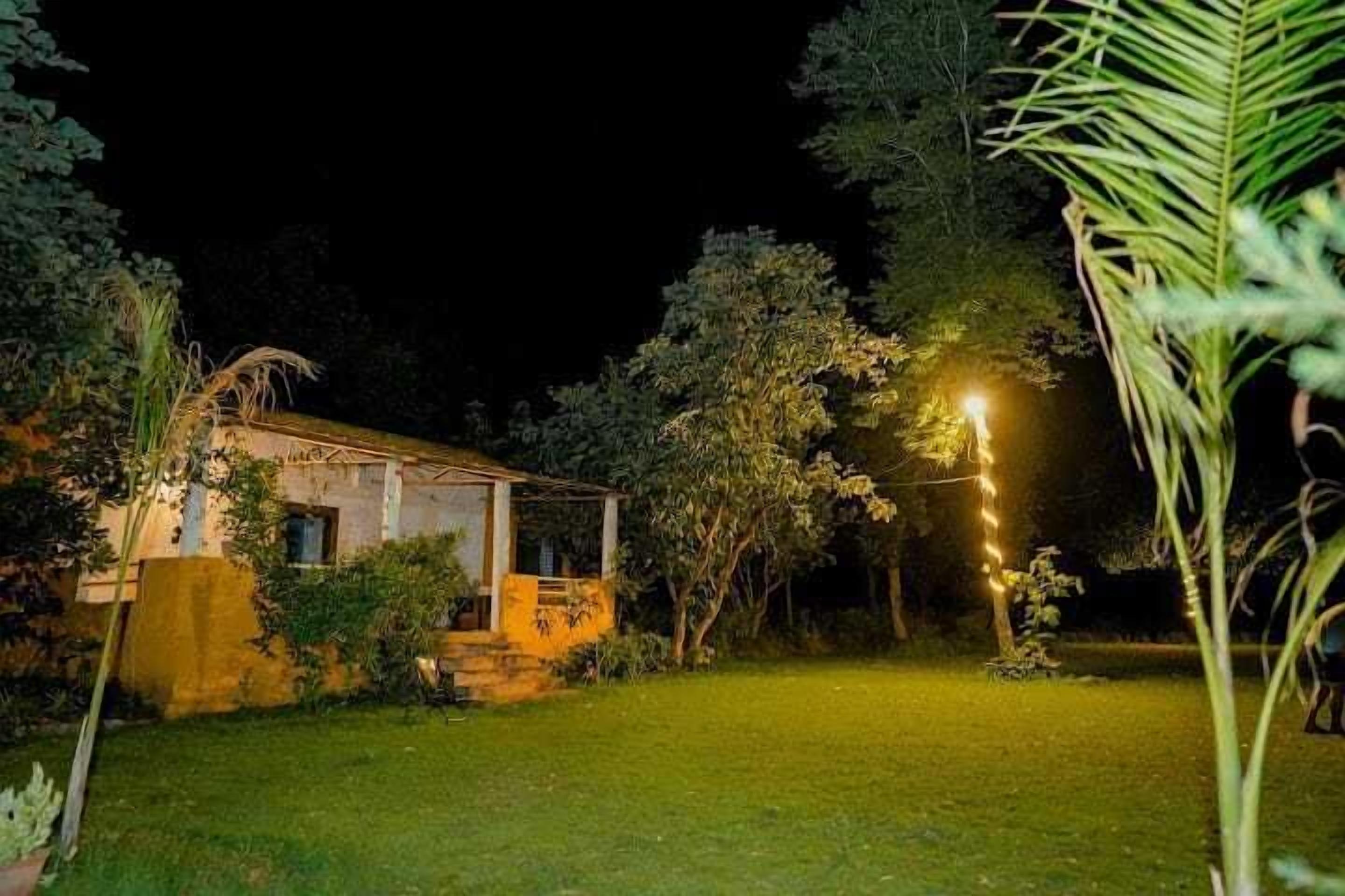 A house with a porch, surrounded by greenery and a well-lit garden at night.
