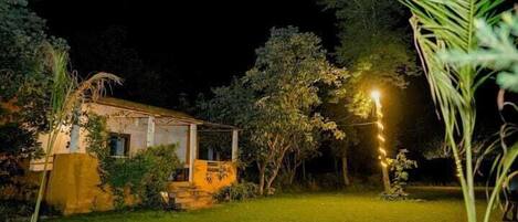A house with a porch, surrounded by greenery and a well-lit garden at night.
