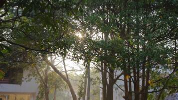 Deluxe Double Room, Garden View | View from room