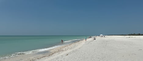 Sun-loungers, beach towels