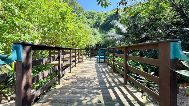 A wooden bridge with railings, surrounded by lush greenery and trees. - Pousada Aracuã - Laguna (Laguna)