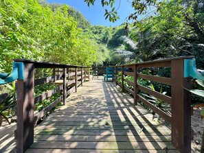 A wooden bridge with railings, surrounded by lush greenery and trees. - Pousada Aracuã - Laguna (Laguna)