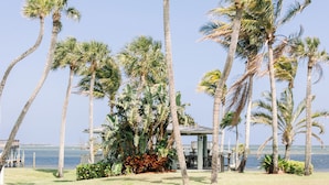 Une propriété située en bord de mer, agrémentée de palmiers, dotée d’une structure couverte et offrant une vue sur l’océan.