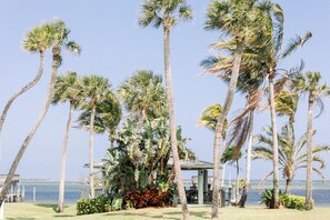 Sun-loungers, beach towels