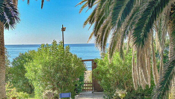 Un vialetto lastricato conduce a un cancello, circondato da lussureggiante vegetazione e palme, con vista sul mare.