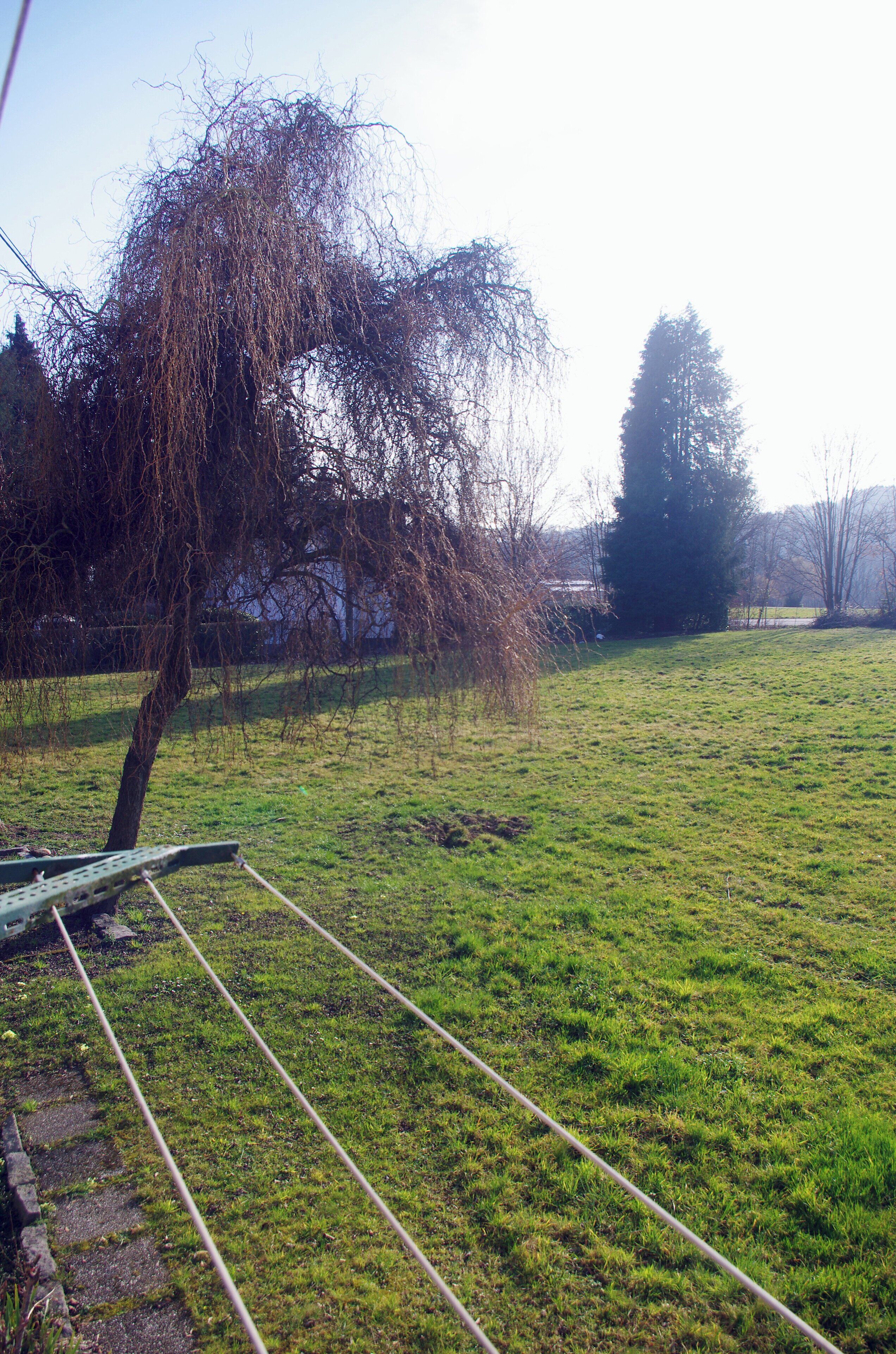 A grassy field with a metal structure, possibly a bench or seating area, and a tree with bare branches.