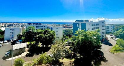 Petit Cocon in Saint-Denis with a terrace