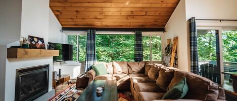 TV connectée, cheminée, livres, médiathèque