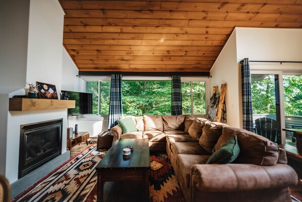 Smart TV, fireplace, books, music library