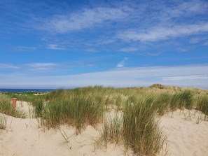 Playa
