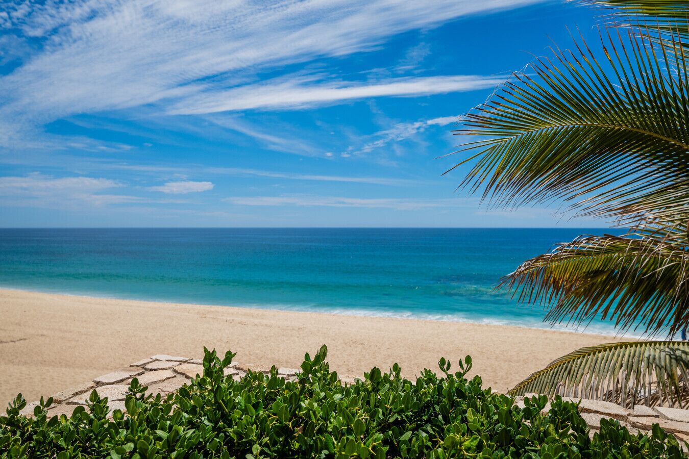 Una playa con cielo despejado, mar tranquilo y una palmera.