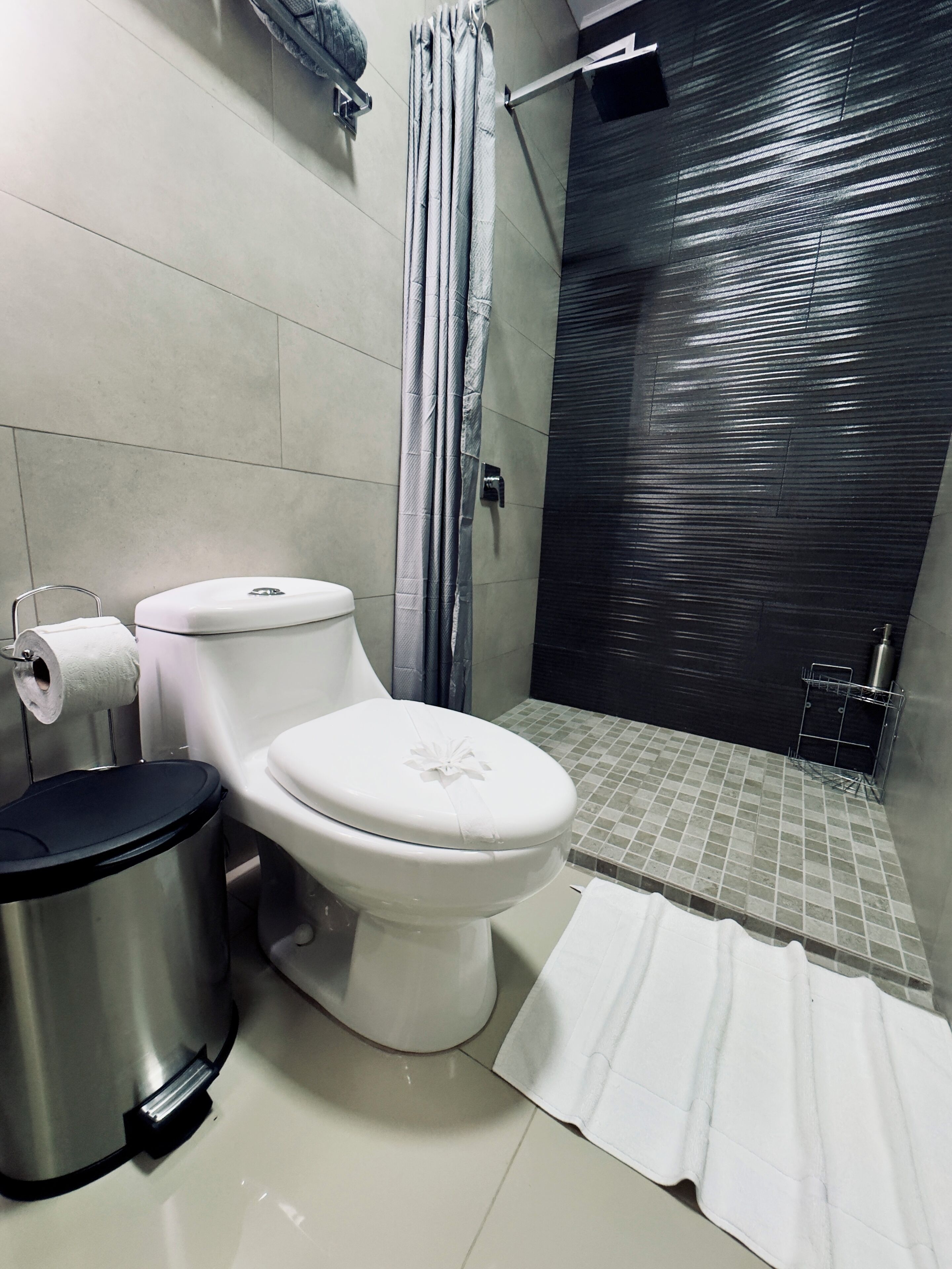 Shower, towels, soap, toilet paper