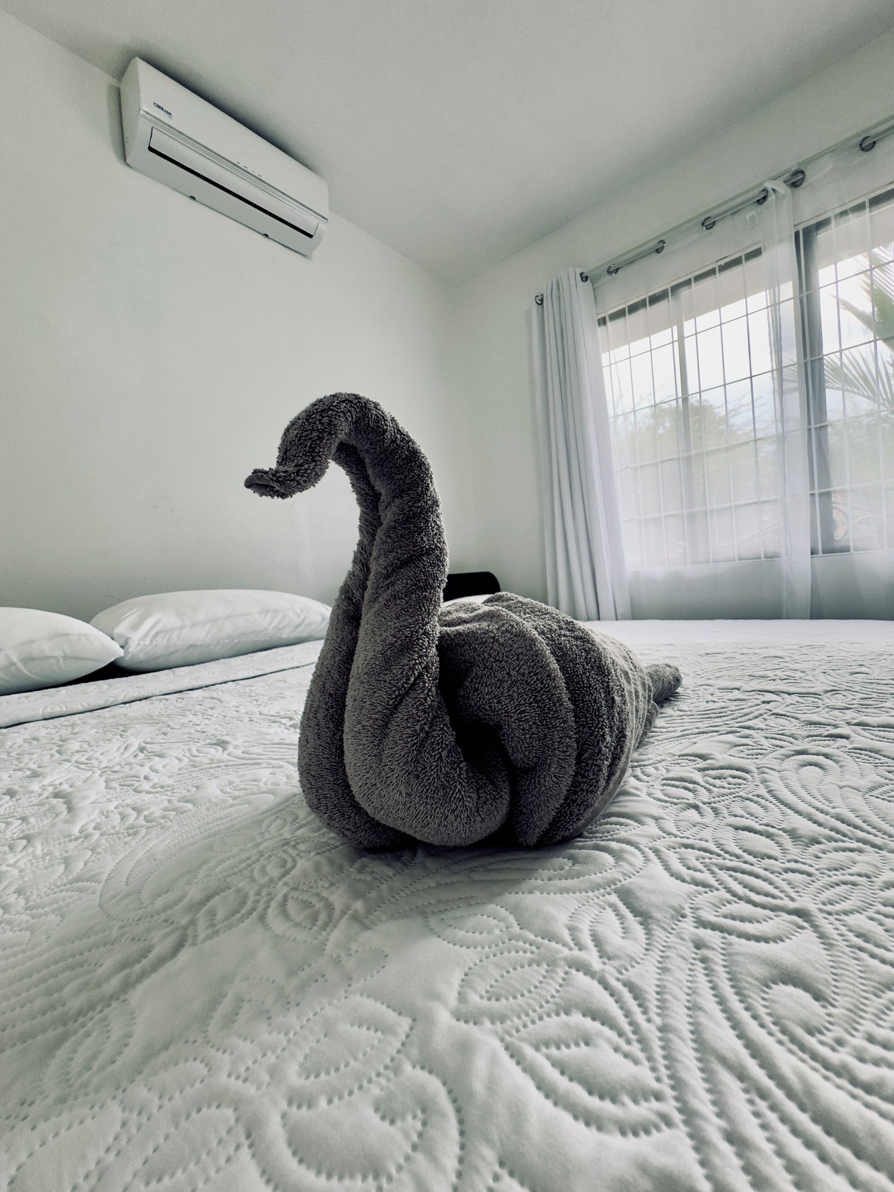 2 slaapkamers, een strijkplank/strijkijzer, wifi, beddengoed