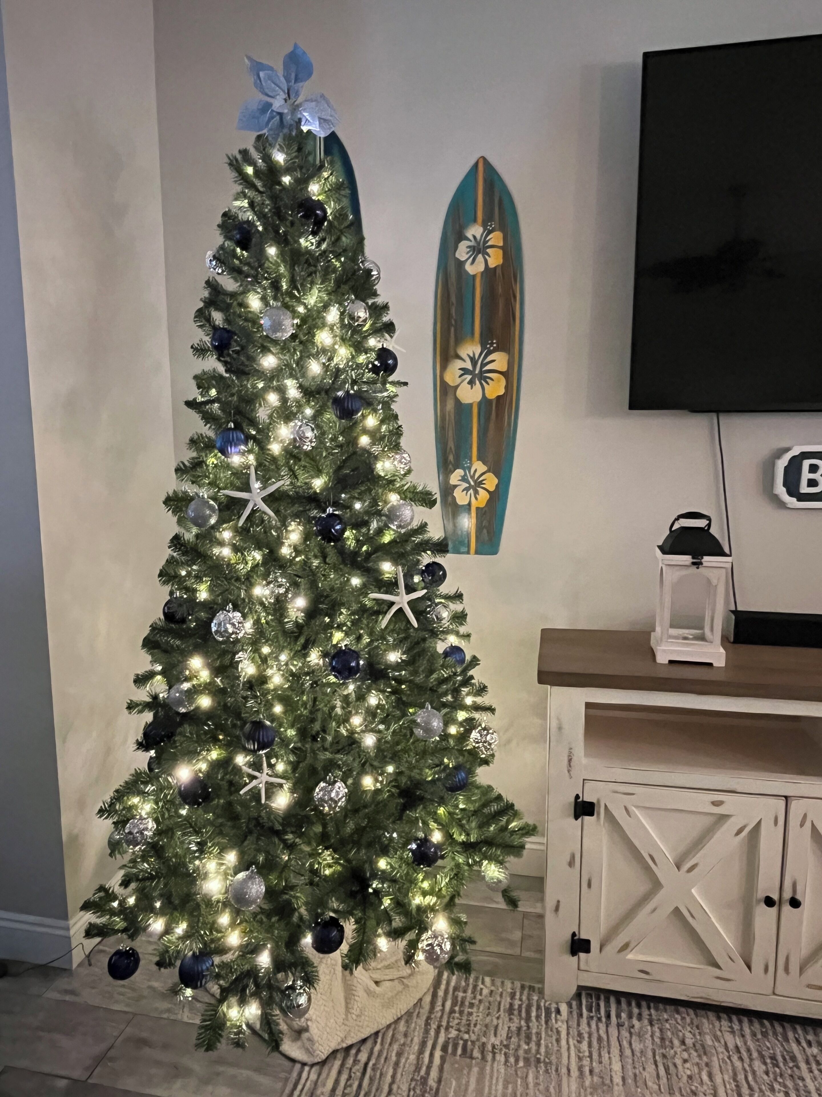 Enjoy the magic of Christmas this December in Florida! 