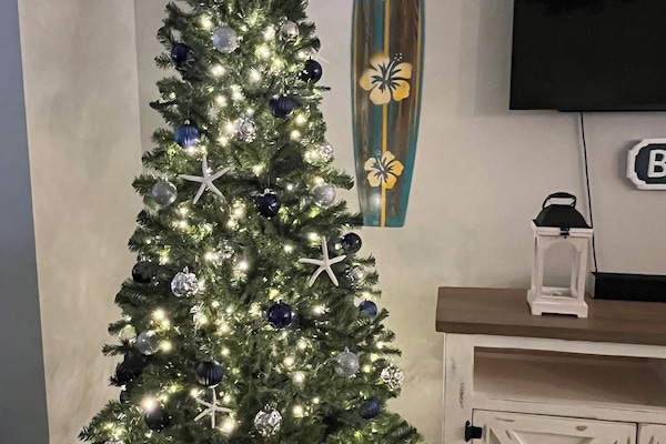 Enjoy the magic of Christmas this December in Florida!