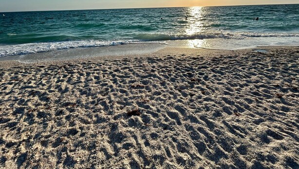 A beach with sand and water, a clear sky, and the sun setting or rising.