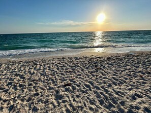 A beach with sand and water, a clear sky, and the sun setting or rising.