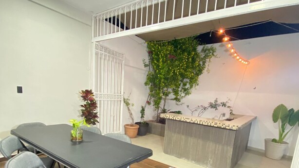 A dining area with a table and chairs, a small kitchen area with a sink, and potted plants.