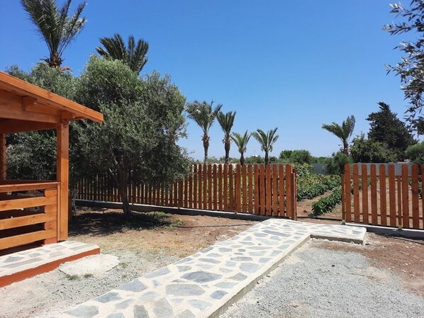 Een houten pergola, een pad van stenen en een houten hek met palmbomen op de achtergrond.