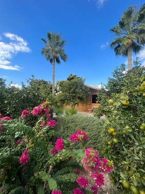 Exterior - Cyprus Glamping Park (Agios Theodoros)