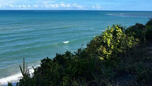 A coastal view with ocean waves, clear sky, and greenery in the foreground.