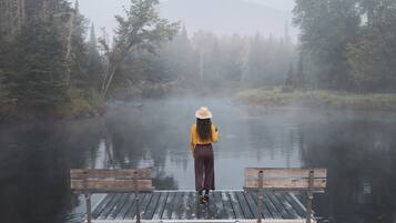A wooden dock extending into a misty lake with dense forest on either side.
