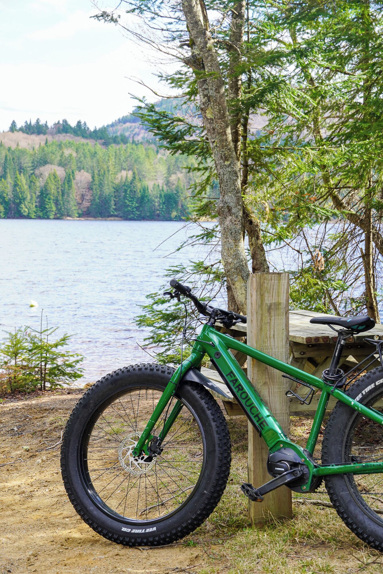 A green mountain bike parked near a wooden post by a lake with a forested background.