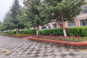 A paved walkway with a checkered pattern, bordered by flower beds and trees.