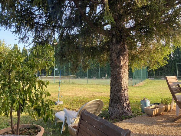 Terrain de sport