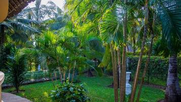Un exuberante jardín con altas palmeras y abundante vegetación.