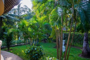 A lush garden with tall palm trees and a variety of greenery. - Jumbo Art Sign Villa (Diani Beach)