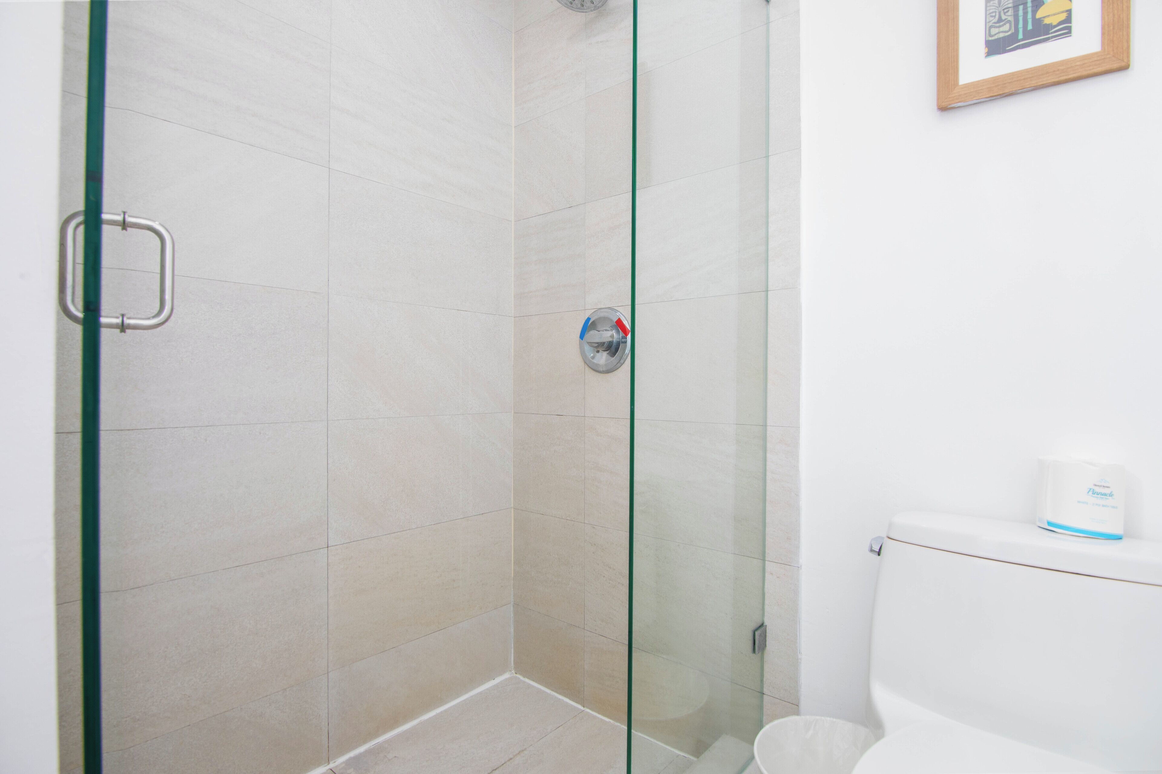 Une salle de bain avec une douche à parois de verre, des toilettes et un tableau encadré au mur.