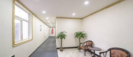 Un pasillo con una ventana, una planta y una mesa con sillas.