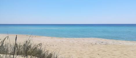Playa