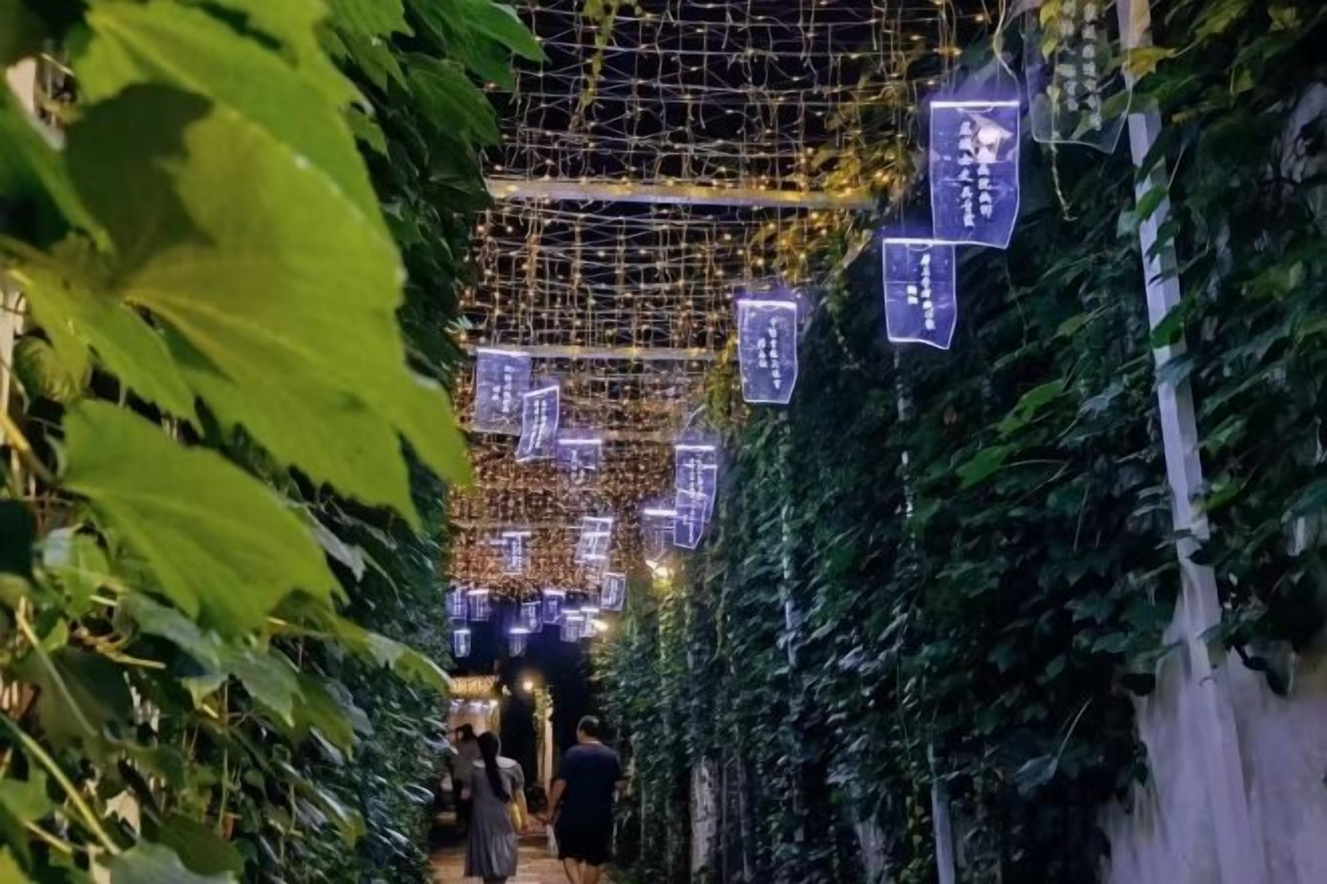 A pathway lined with greenery and illuminated by string lights.