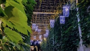A narrow pathway lined with greenery and illuminated by string lights, creating a serene atmosphere. - Jiahao Hotel (Changzhou)