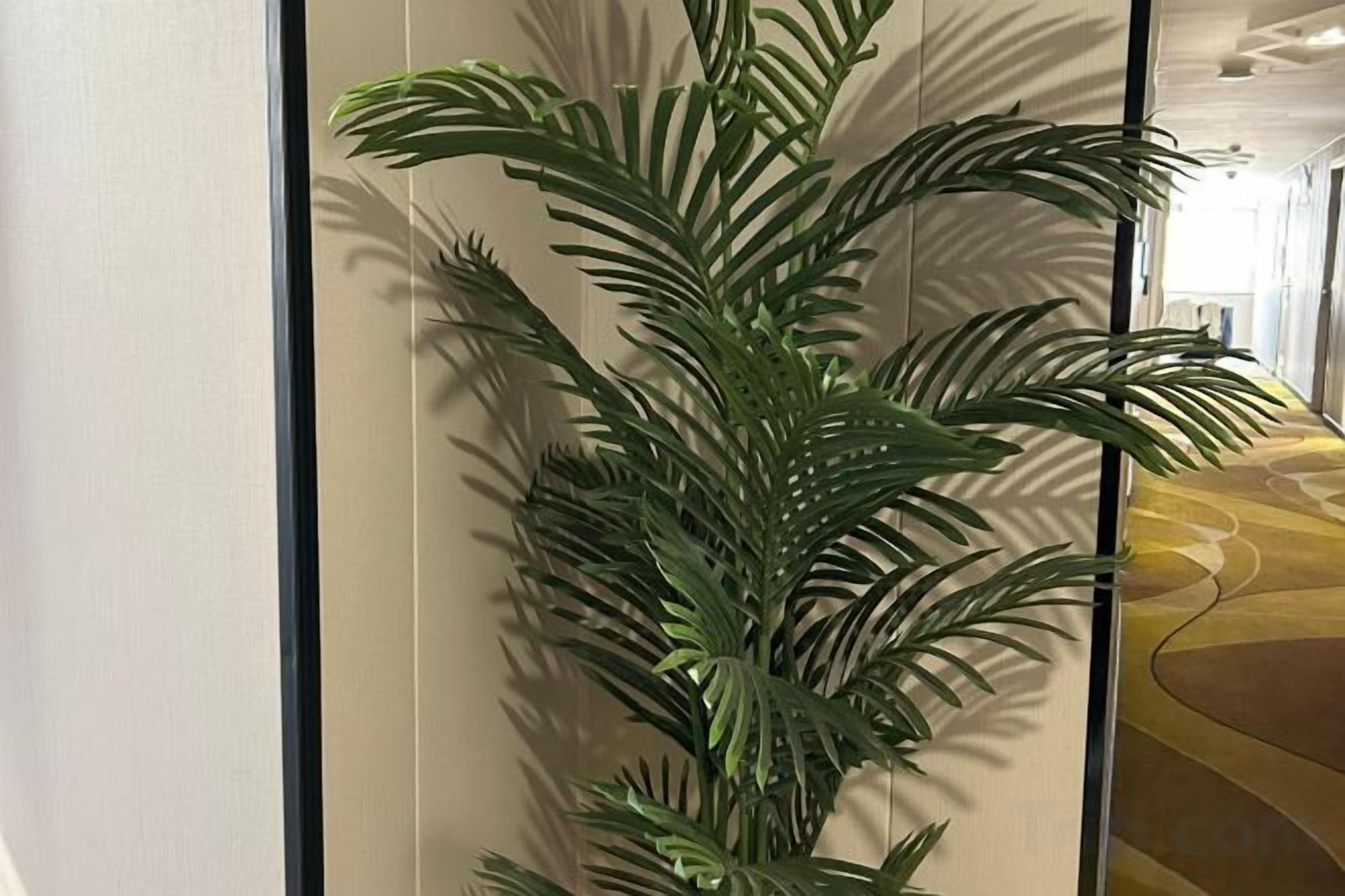 Una planta en maceta con hojas largas y delgadas frente a una pared.