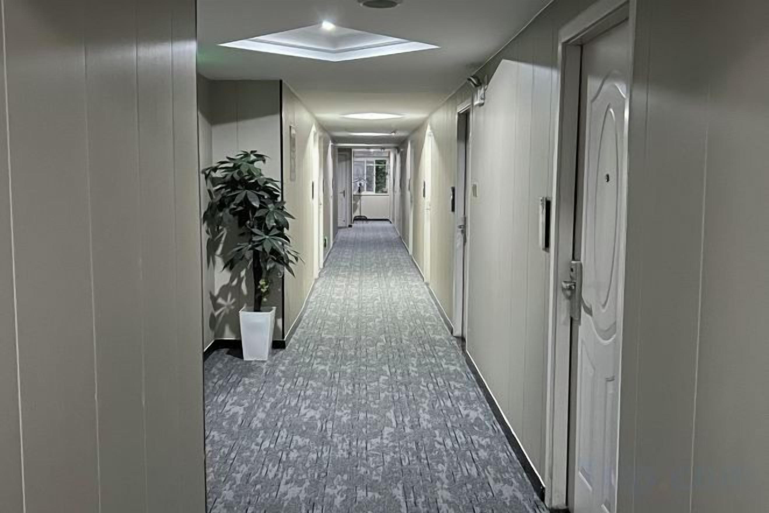 Un couloir d’hôtel avec des portes des deux côtés, une plante en pot et un sol recouvert de moquette.