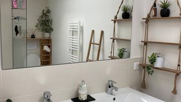 Shower, hair dryer, toilet paper