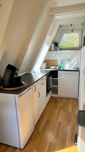 Fridge, oven, stovetop, coffee/tea maker