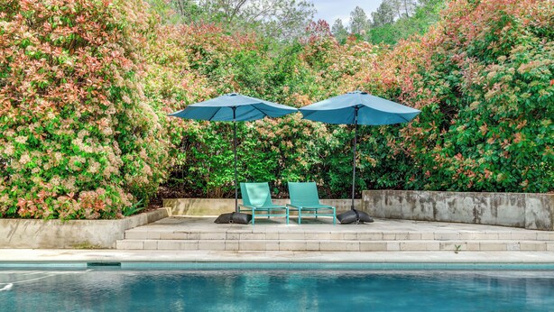 A poolside area with two chairs and umbrellas, surrounded by lush greenery. - Pool & Deck: Wine Country Hideaway in Middletown! (Middletown)