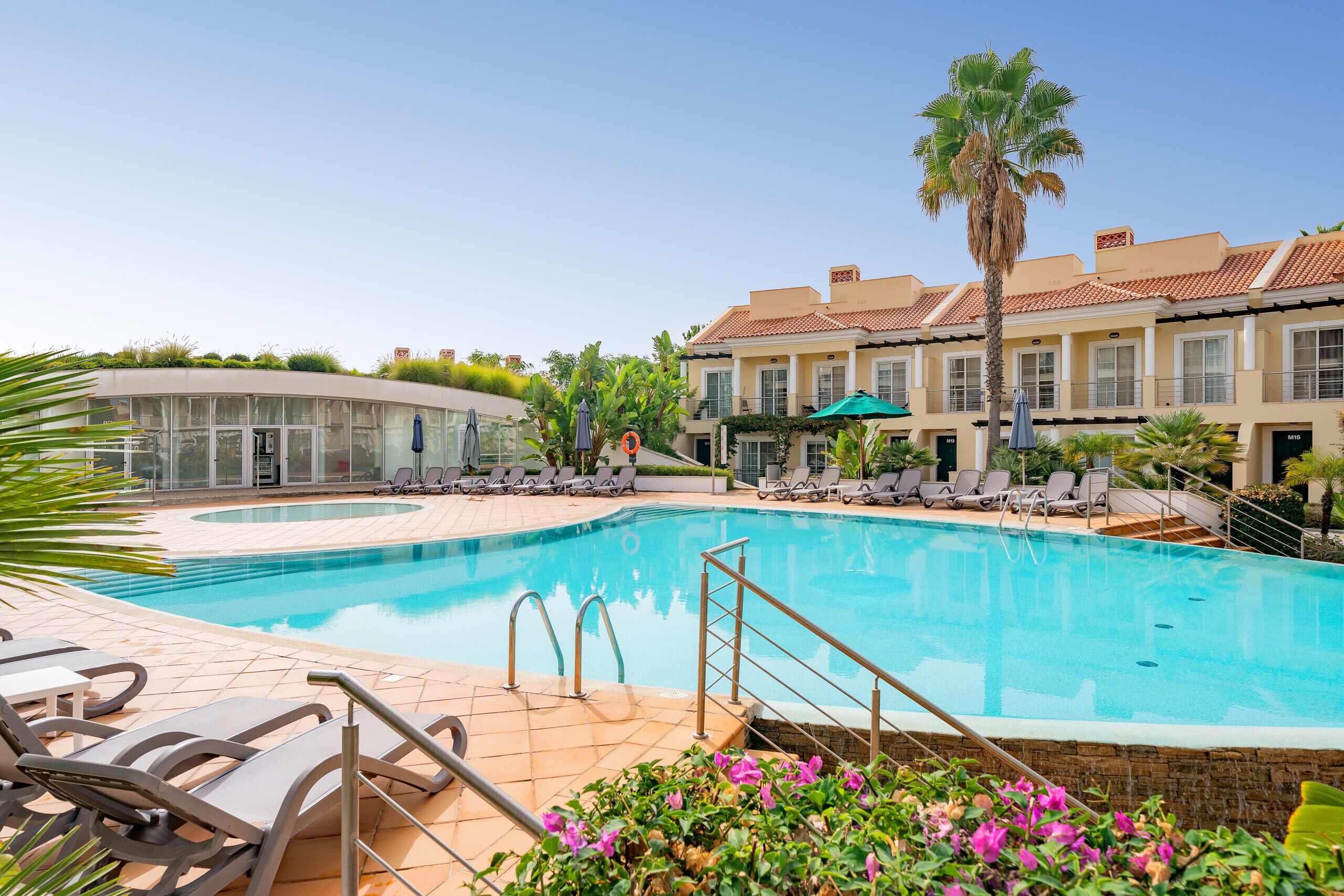 A swimming pool with lounge chairs and a palm tree.