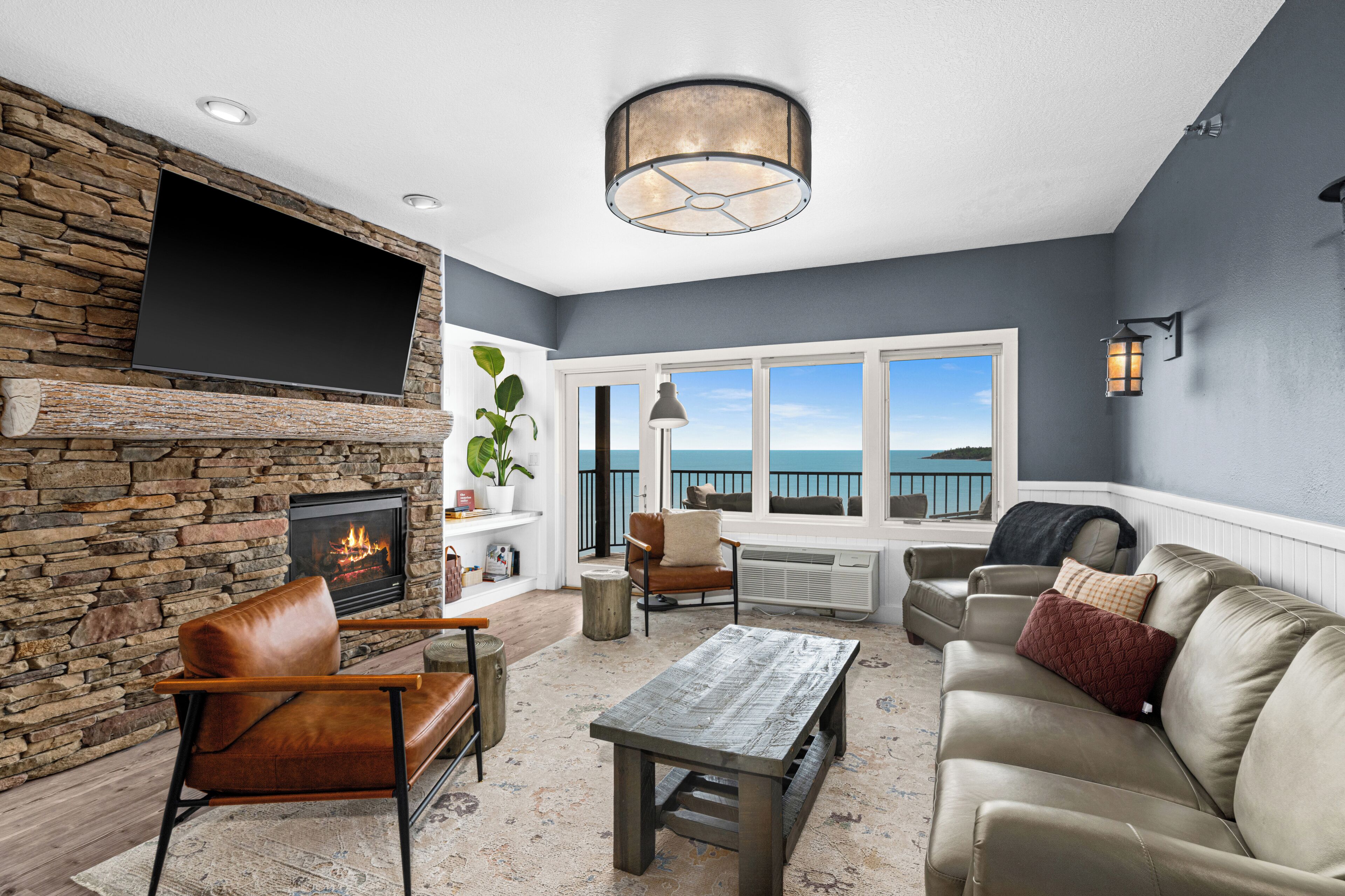 Smart TV, fireplace, books