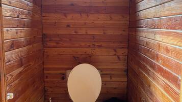 Shower, towels, soap, toilet paper