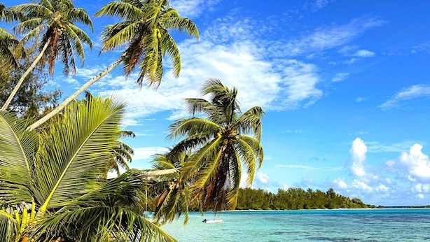 Een houten steiger die uitkomt op een heldere turquoise zee, met palmbomen en een eiland in de verte.