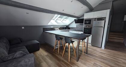 Charming apartment in Amboise facing the Loire.