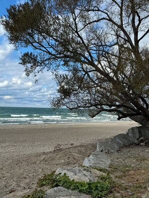 Chaises longues, serviettes de plage