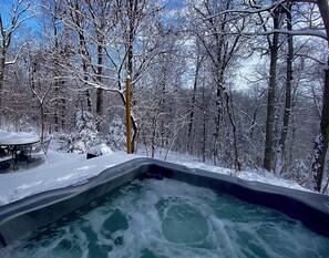 Un bain à remous entouré d’arbres couverts de neige.