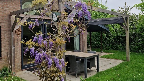 Un espace patio aménagé avec une table et des chaises, entouré d’une végétation luxuriante et de fleurs violettes.